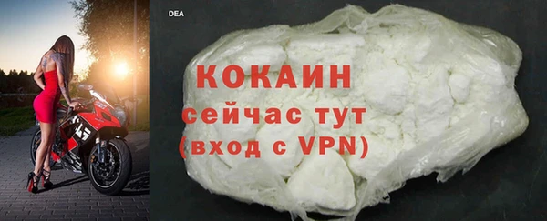 шишки Абаза