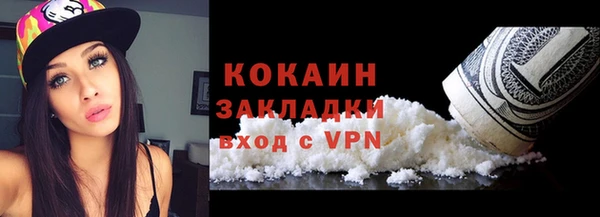 шишки Абаза
